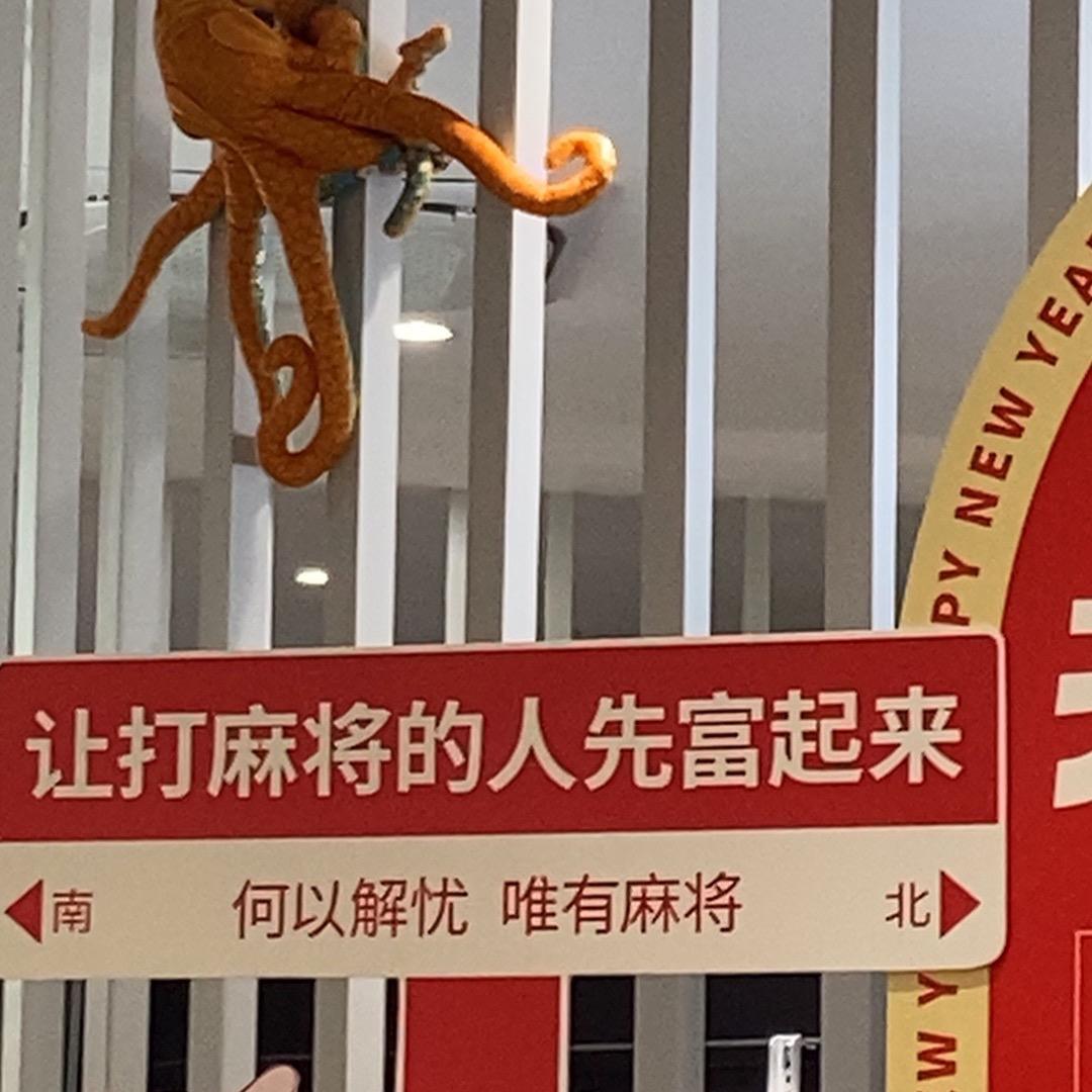 刘小婷