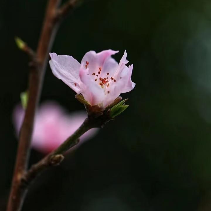 掌握人生