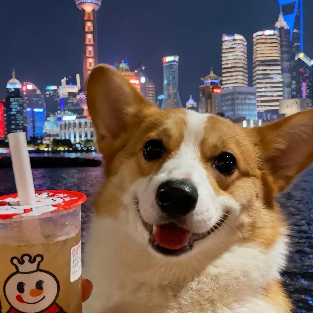 爱
