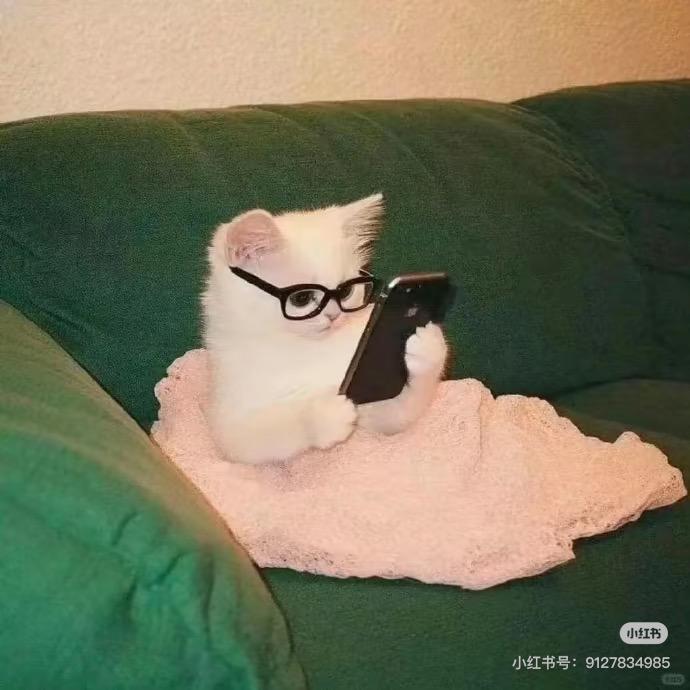 当公主好难
