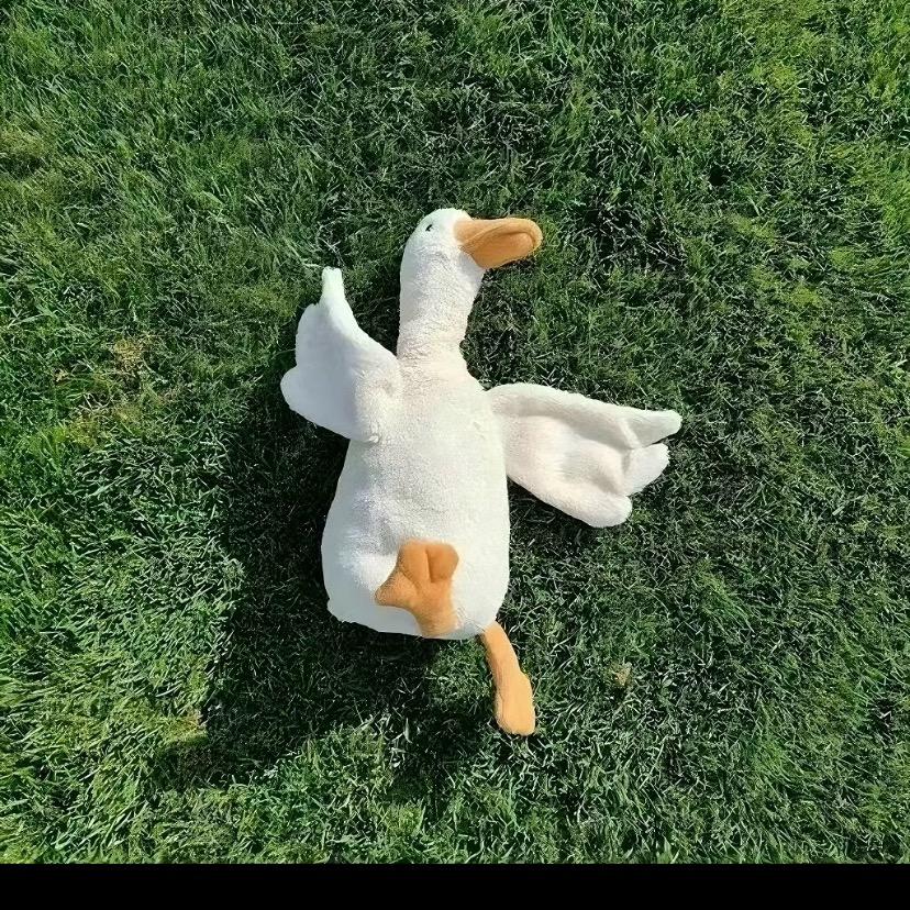 酒心巧克力冻