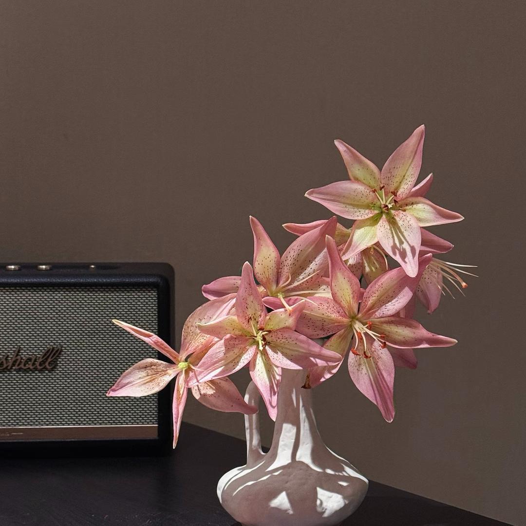 茗花阁花卉园艺