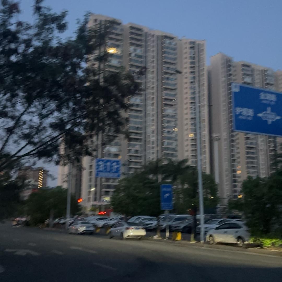 小陈爱吃烤鱼