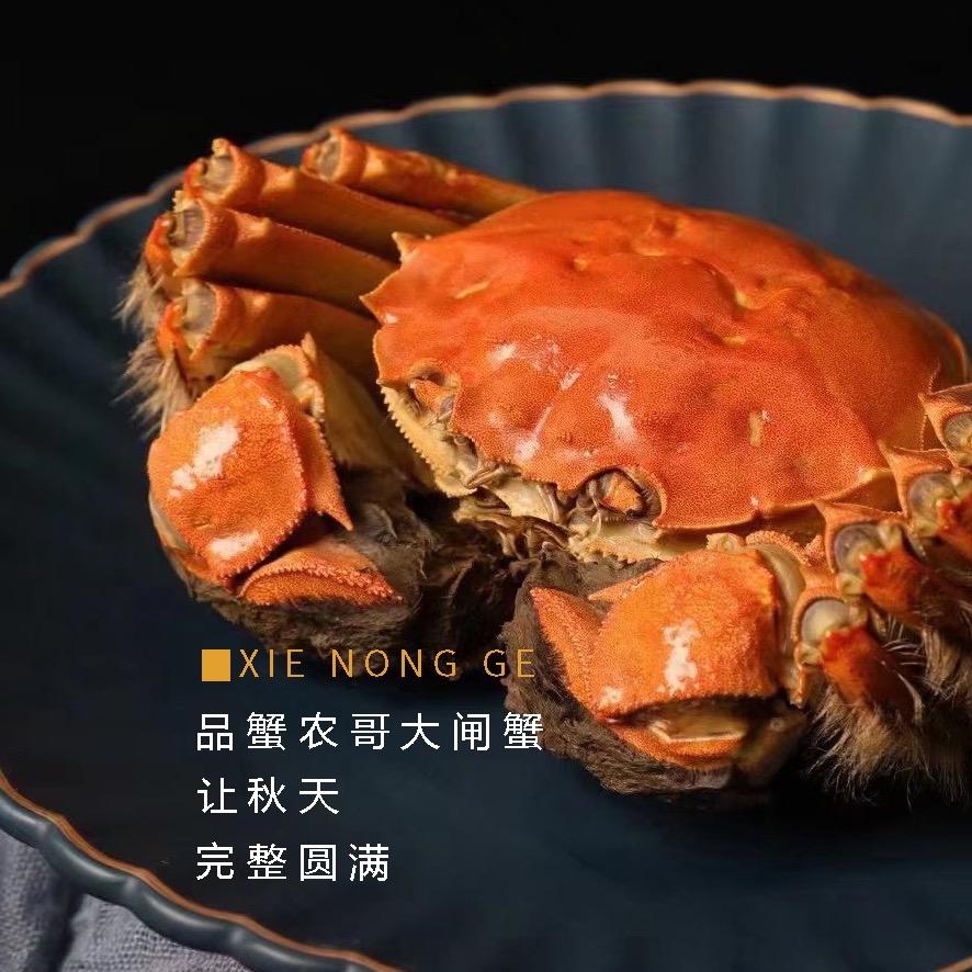 苏州市阳澄湖苏吴大闸蟹有限公司