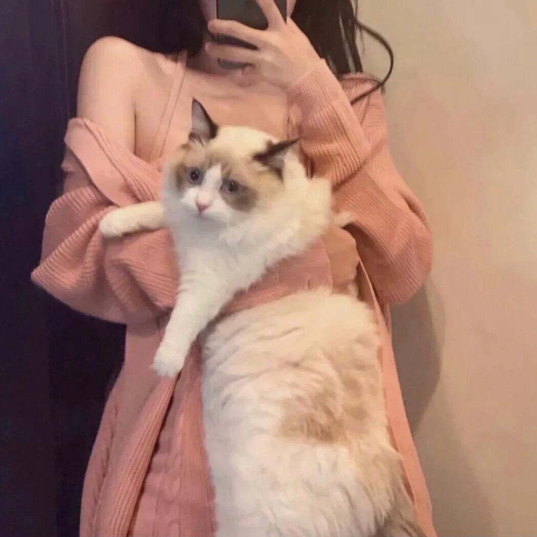 🍑