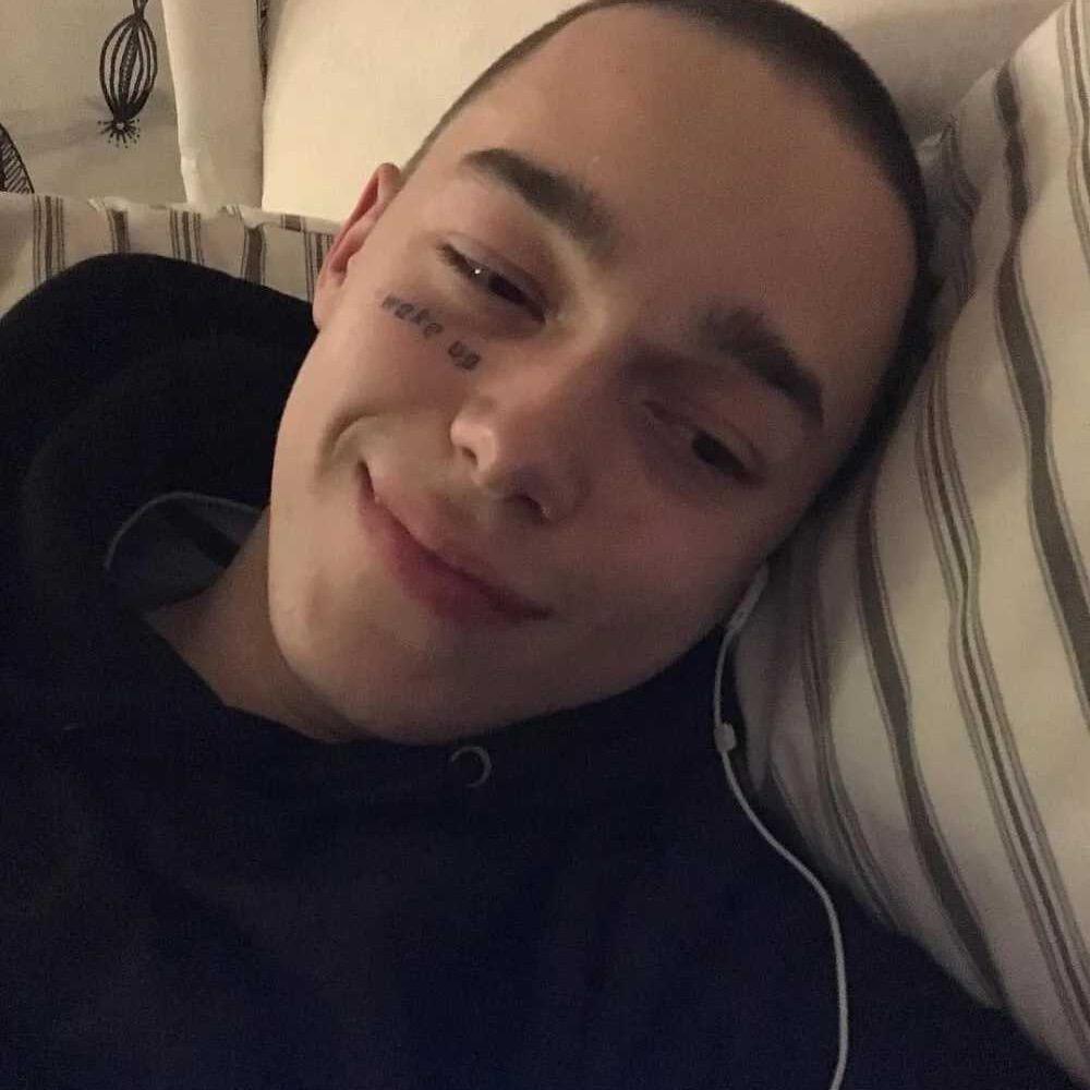 旺财宠物馆（免费撸猫）