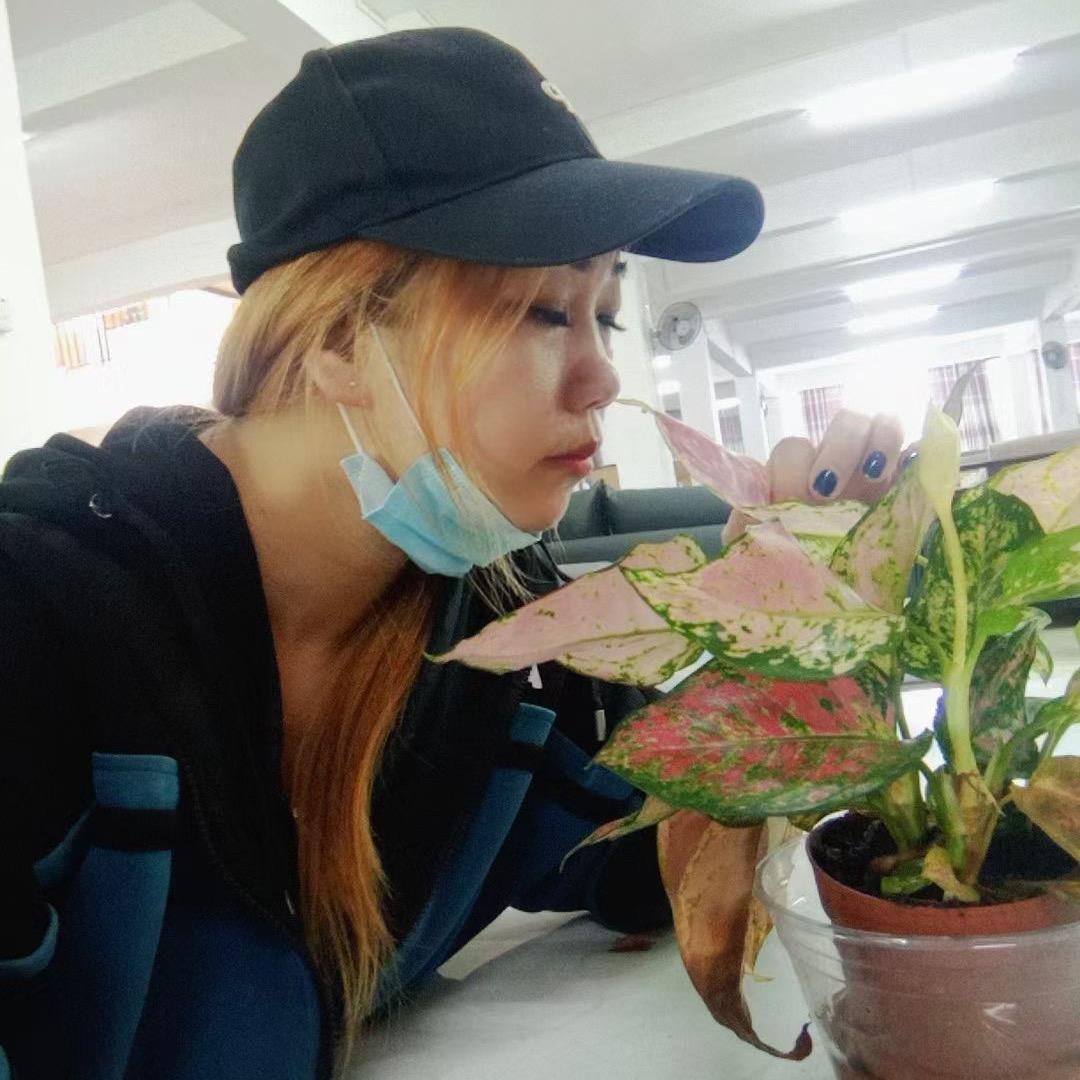 鸭子珠🐥🌴🌹