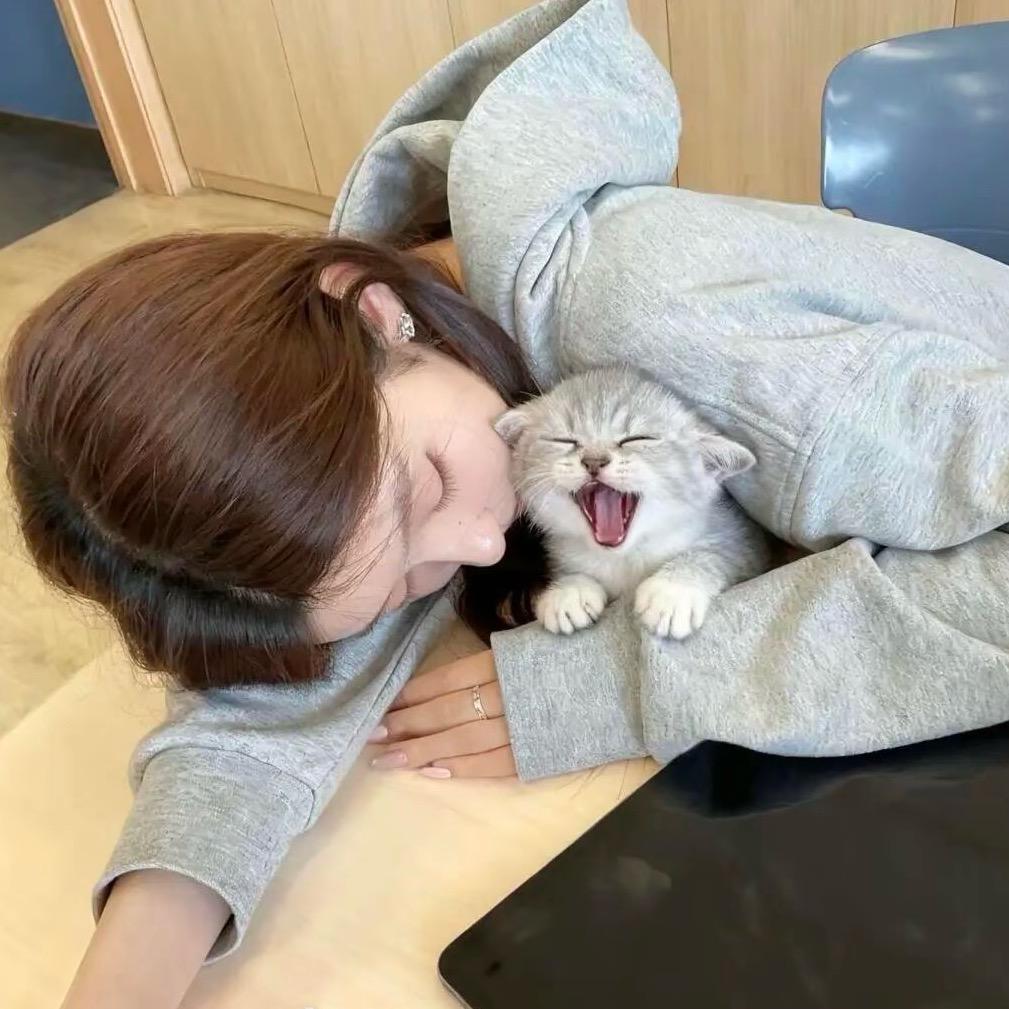 秋恋凌