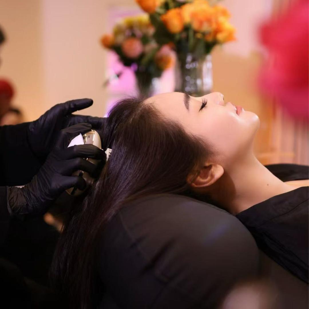 景德镇头头象     初晴