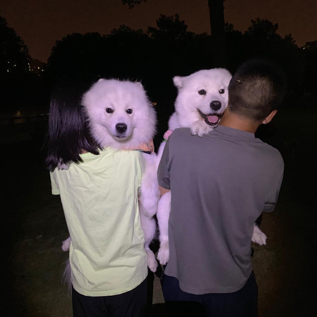 小温暖🤭头像