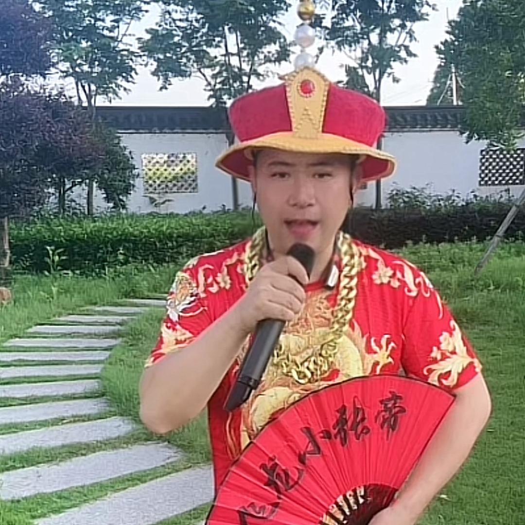 百变飞龙