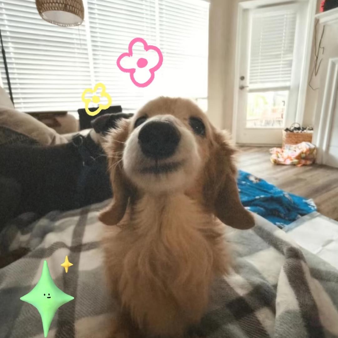 大力熊熊!!!