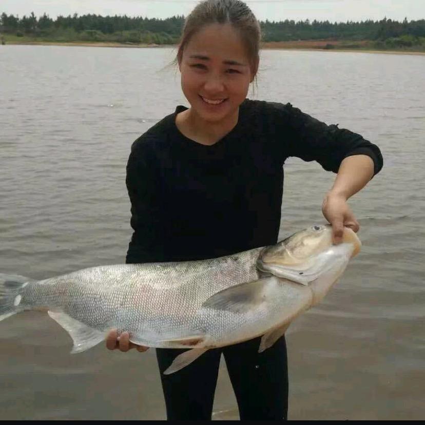 高小高钓鱼🎣