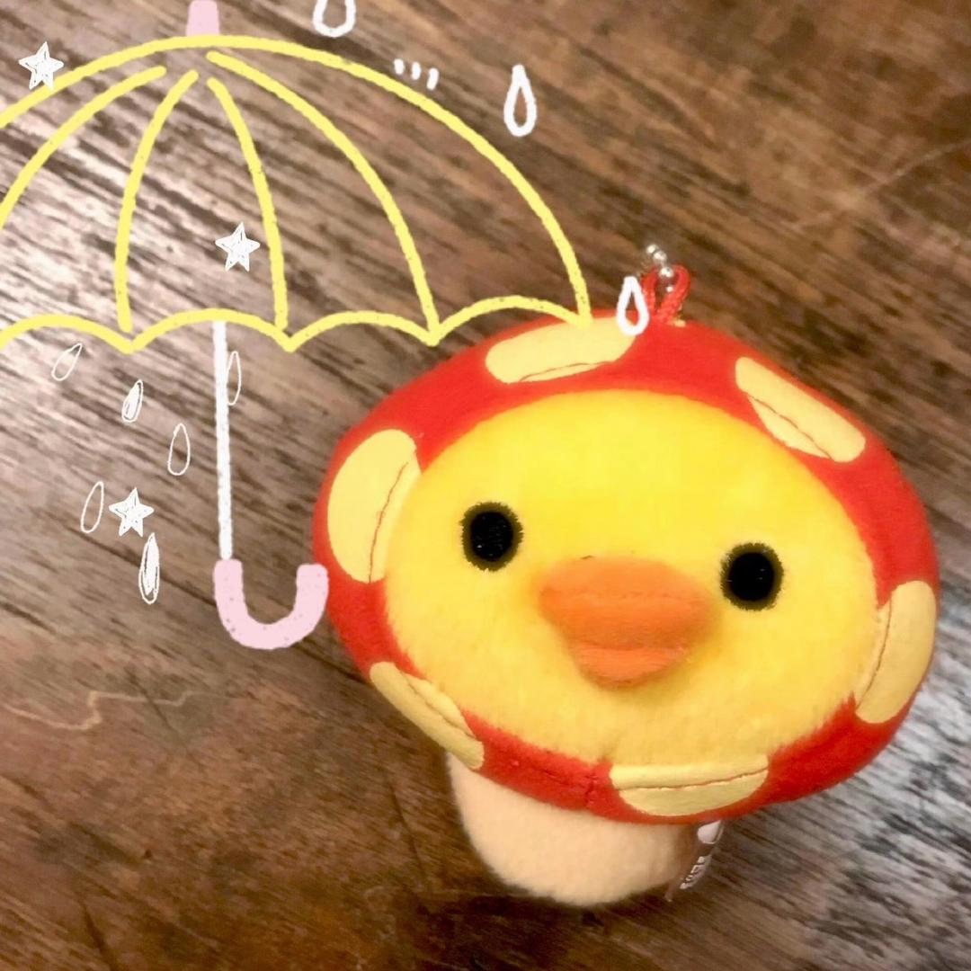 kibummi🐹🔑（闪窝版）