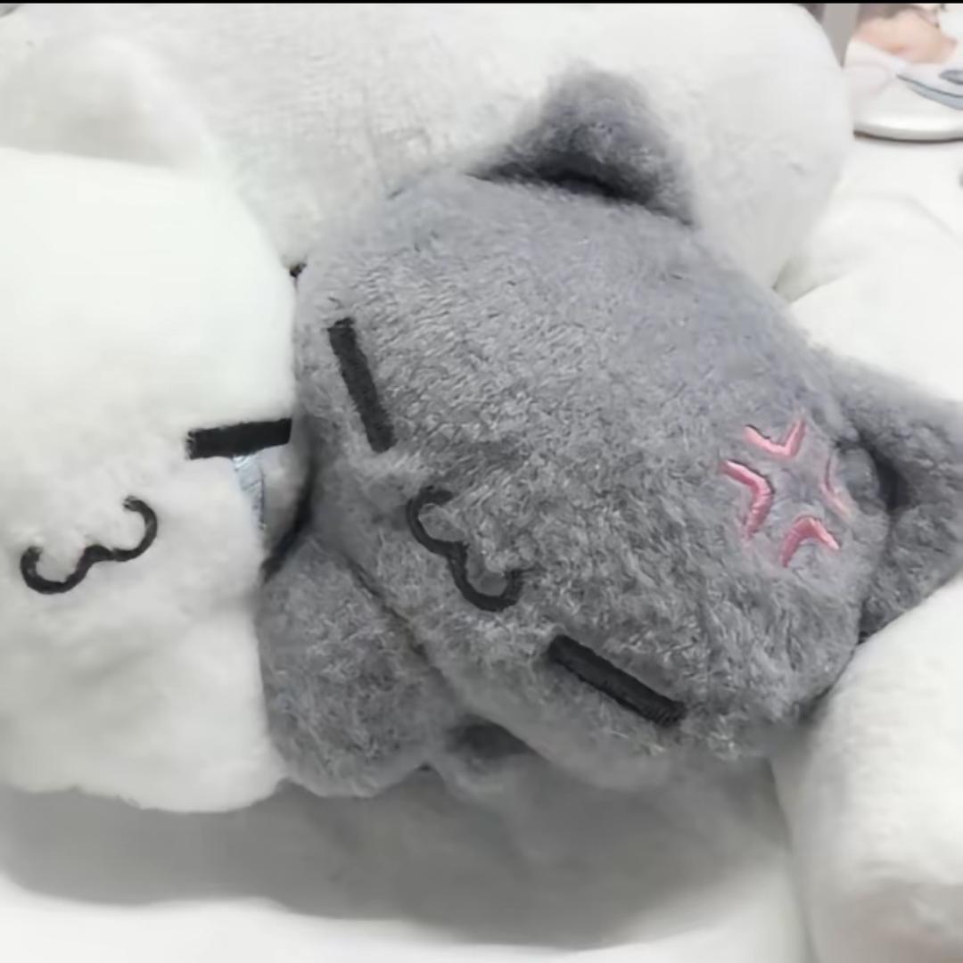 伍伵
