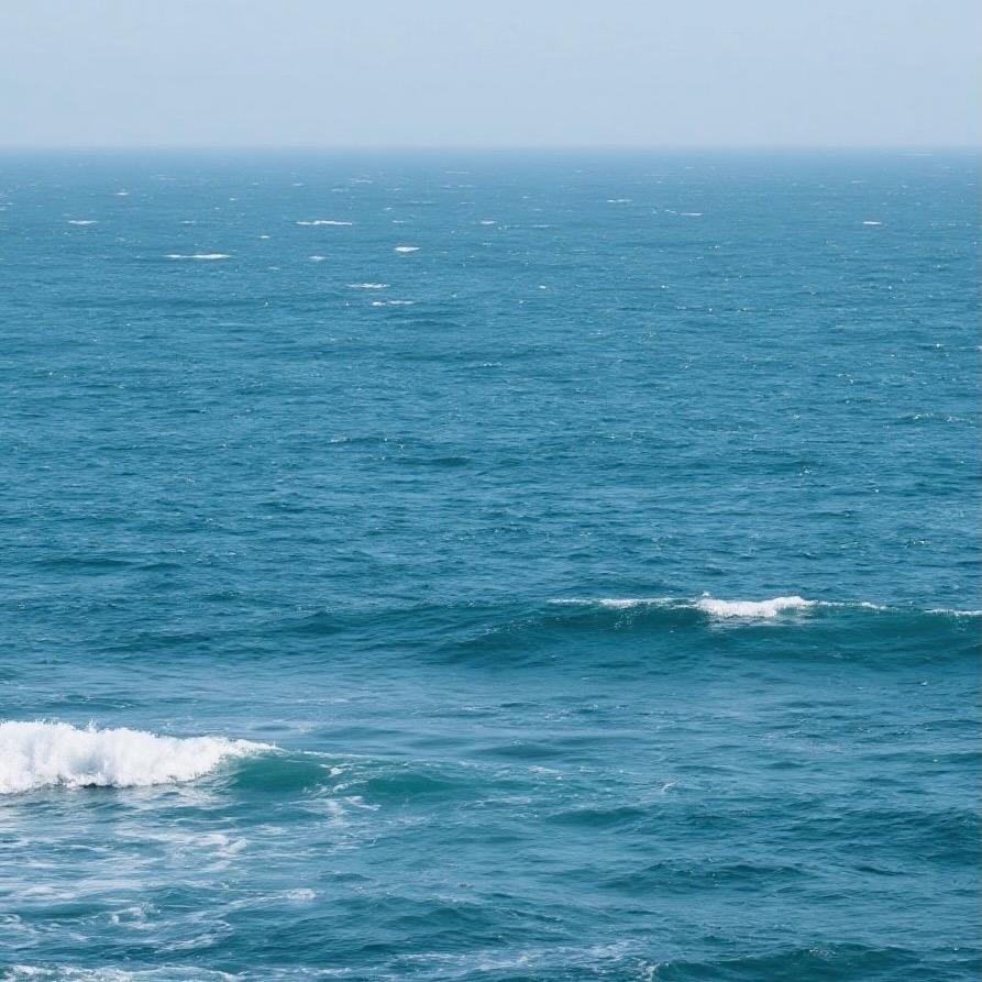 海上日记