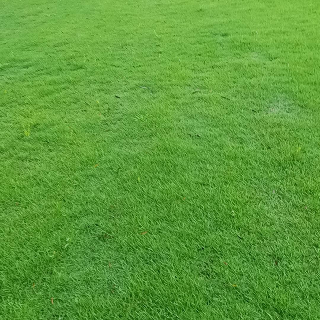 艺俊草业