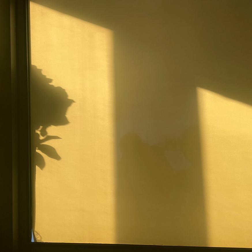 张三瘋