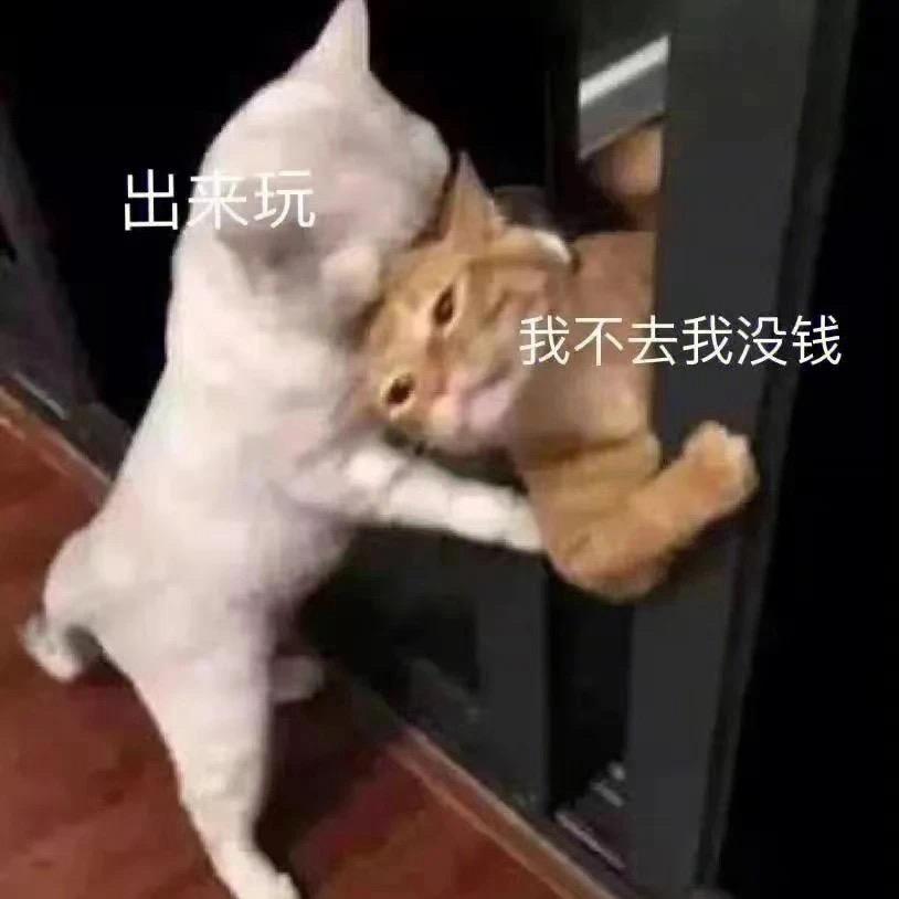 一只鹤咁