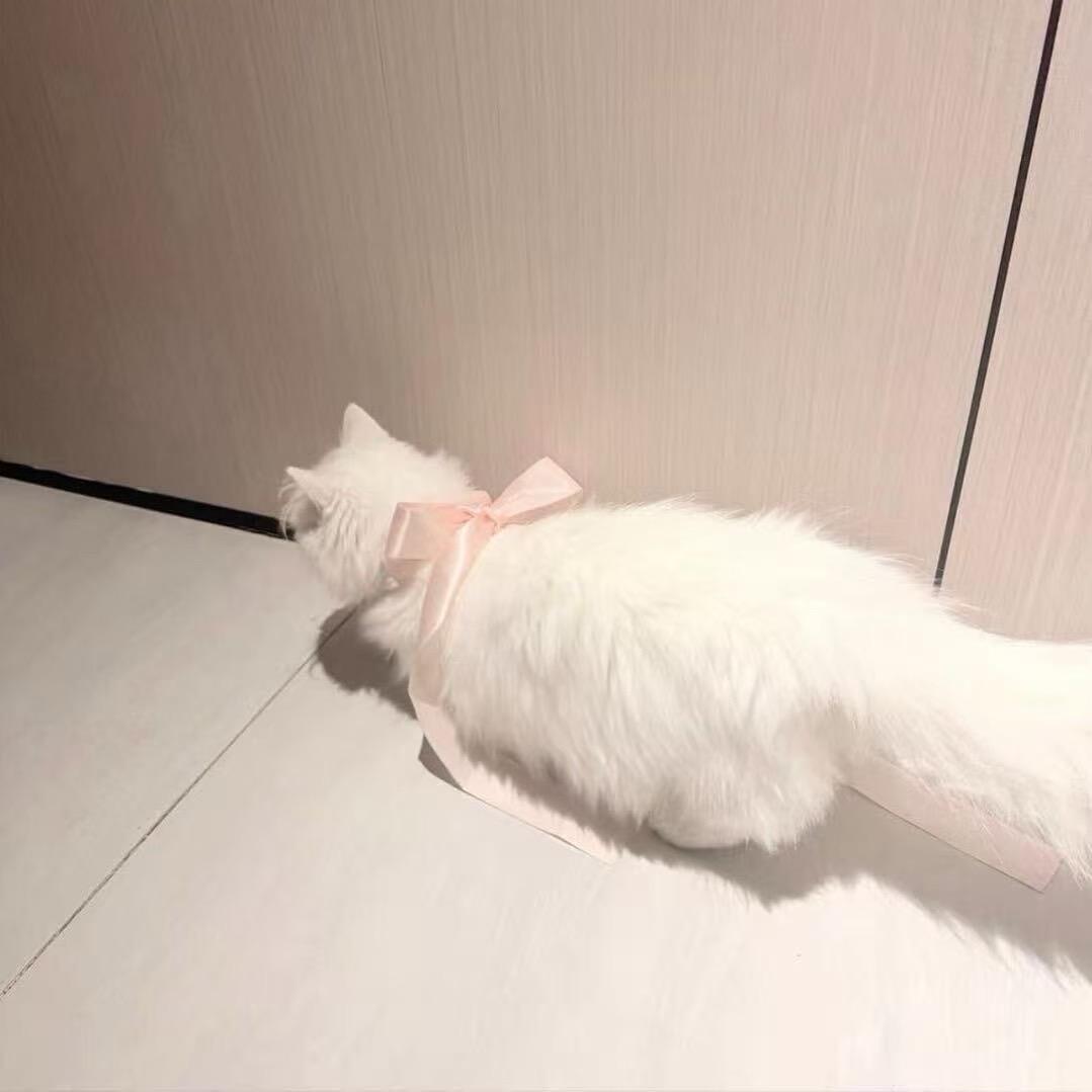美竹酱baby-