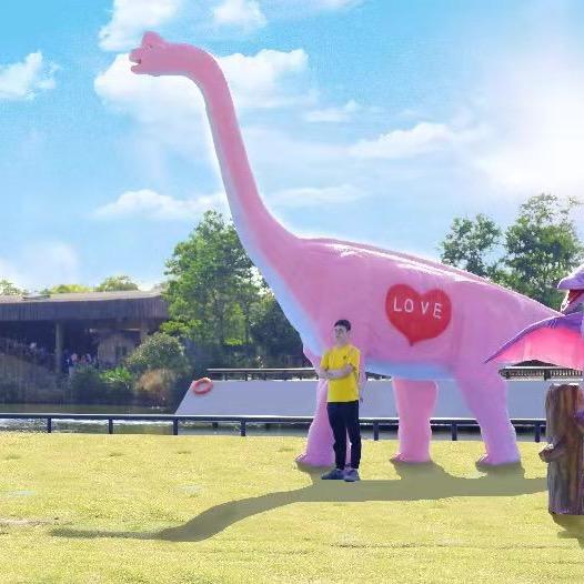 山东龙飞文化传媒有限公司