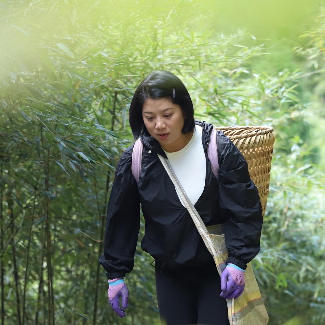 仙峰村干部应秋梧