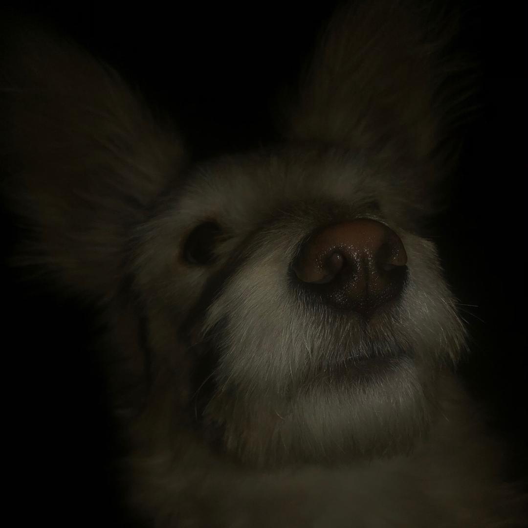 阿兰呐