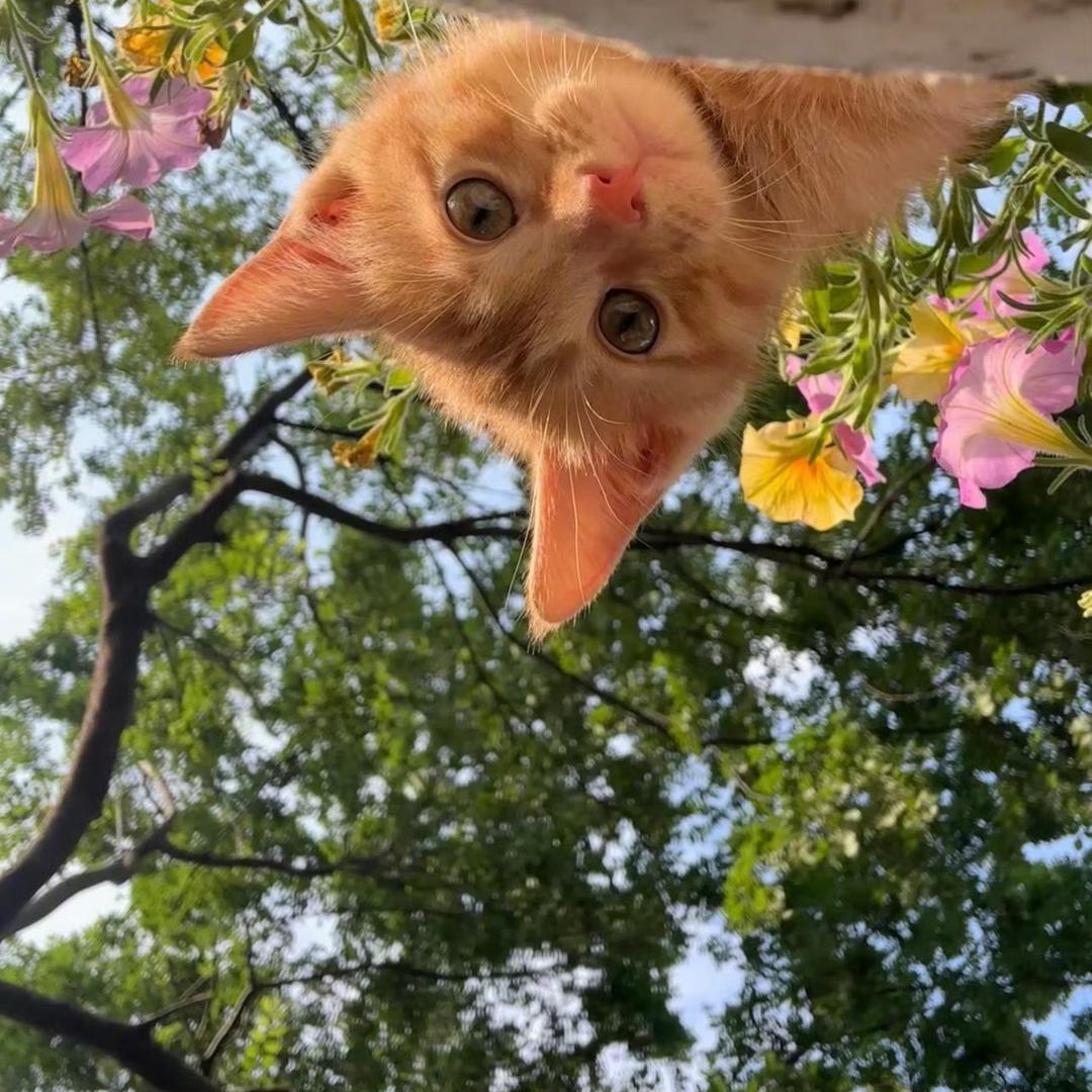 🤟🏻