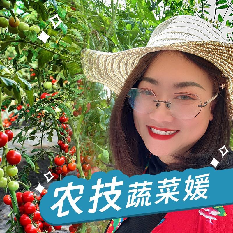 蔬菜媛说农业