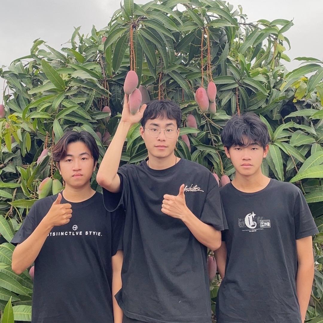 阿杰家的果园（百香果）