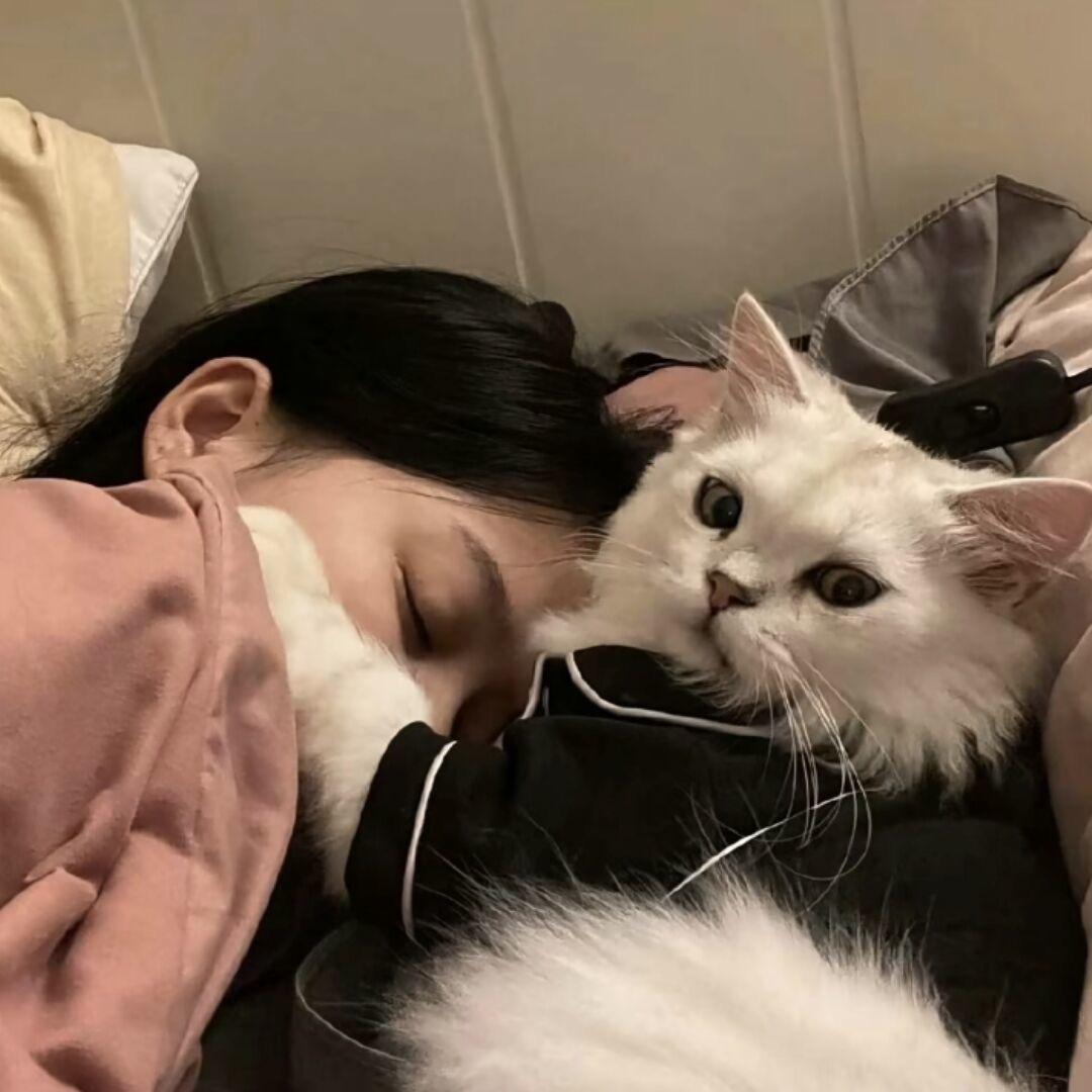 知知