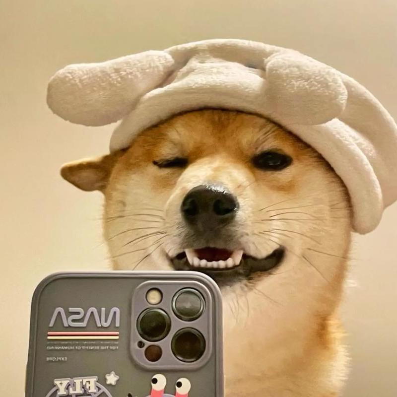 万事藏于心