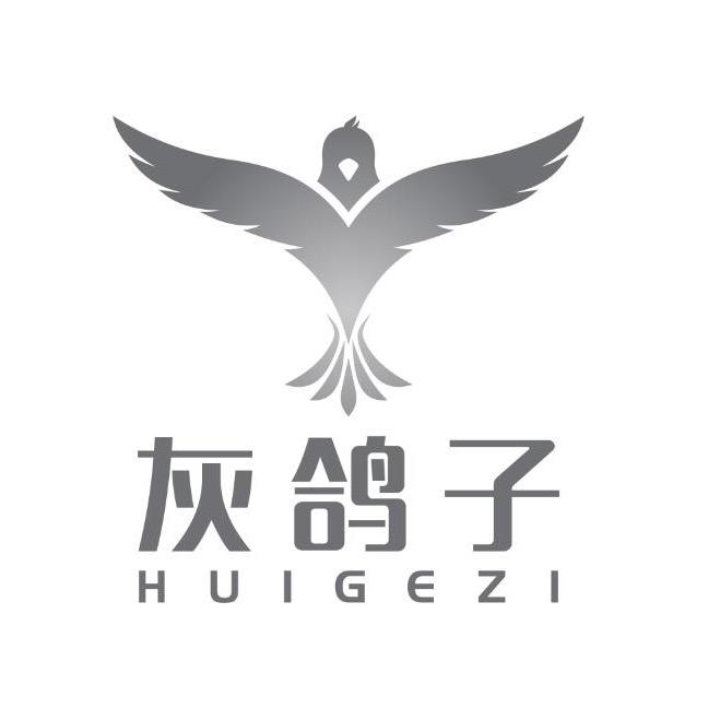 灰鸽子远程控制软件