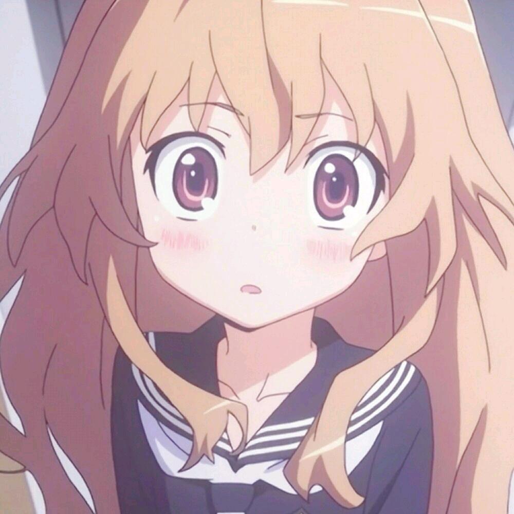 提提宝宝