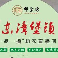 东漳堡镇助农甄选