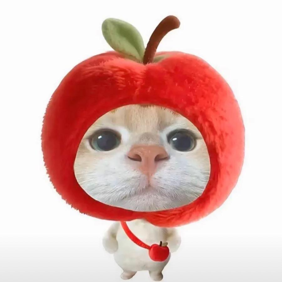 猫不爱吃翘嘴🐟