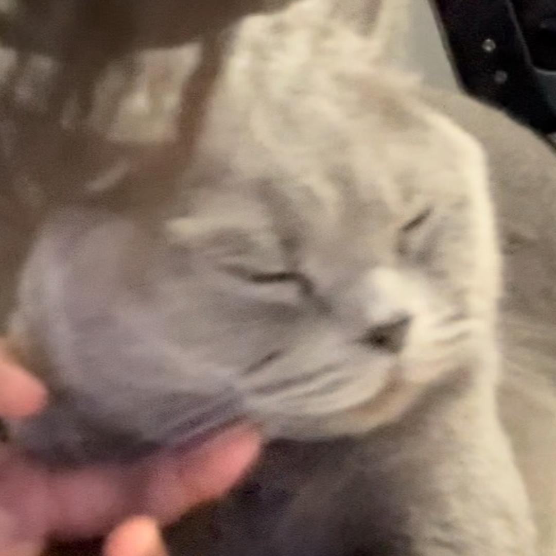 Jôlin