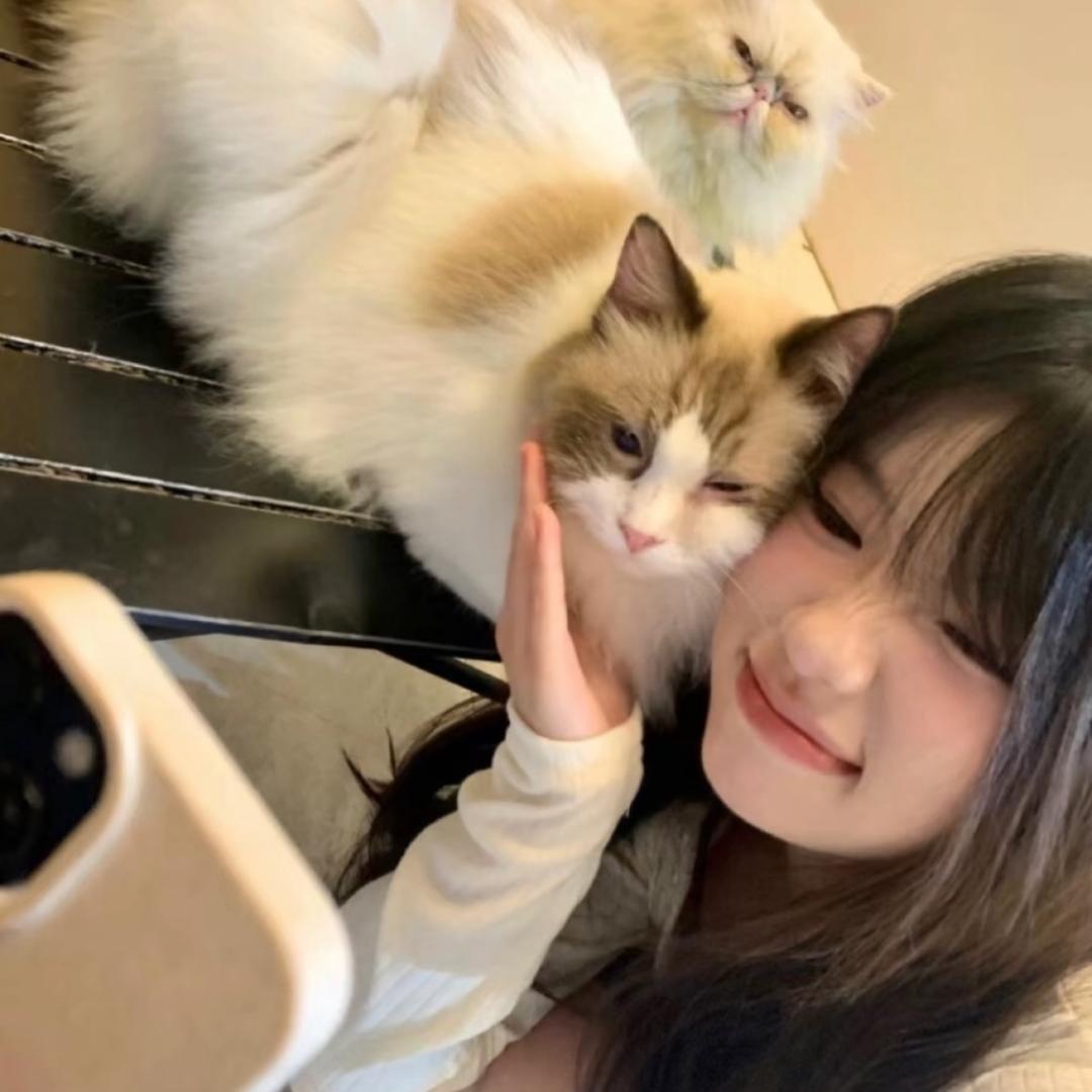 蓉子饿了吗