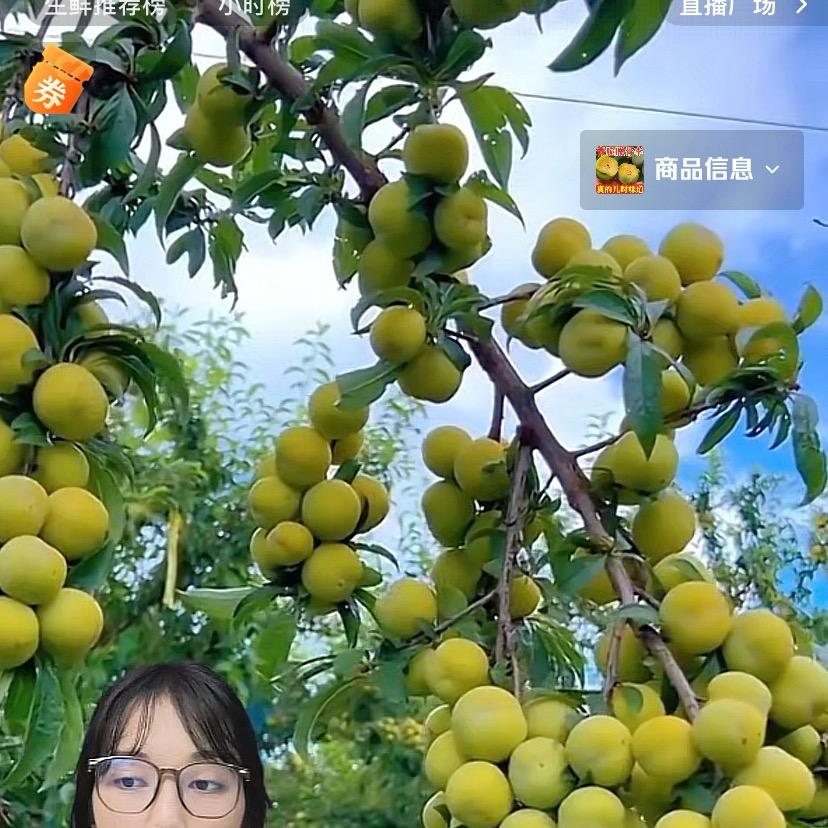咋咋果园