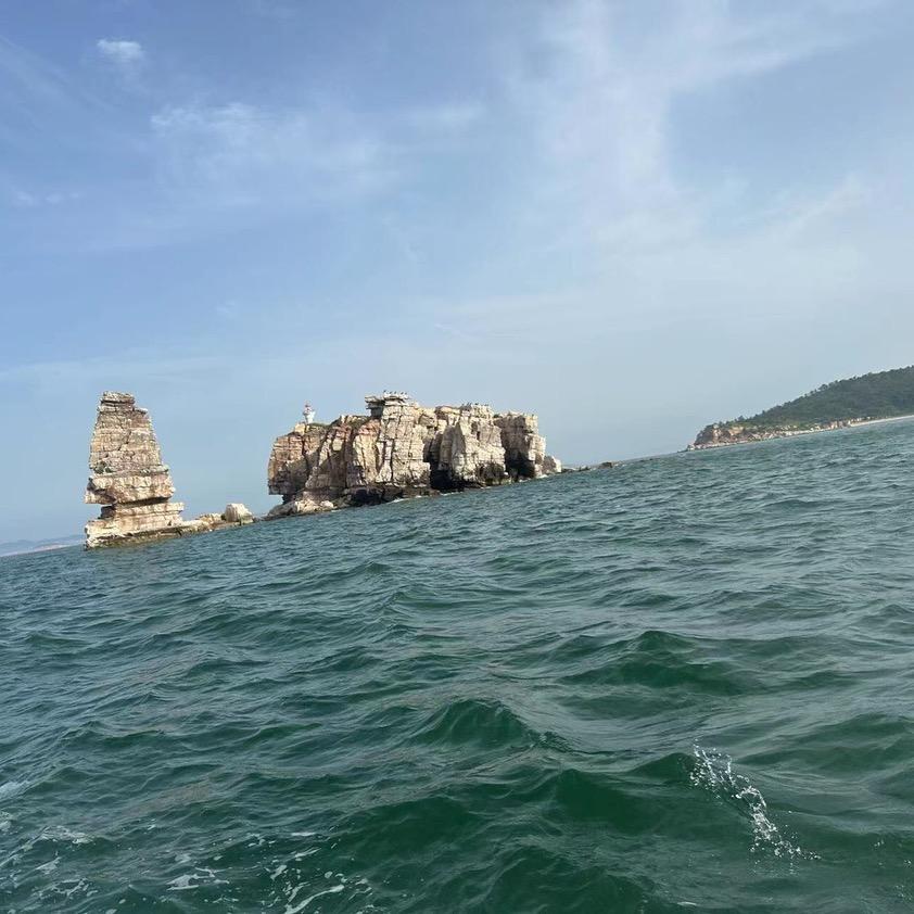 向阳花
