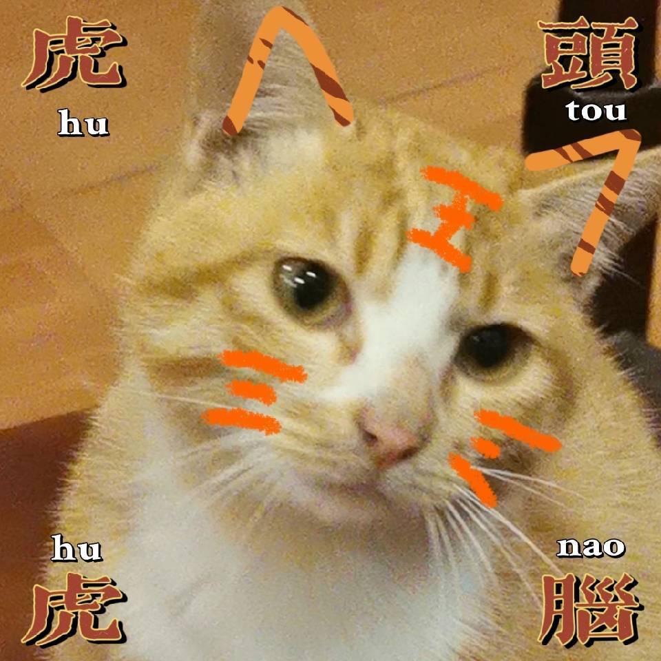 Mr.