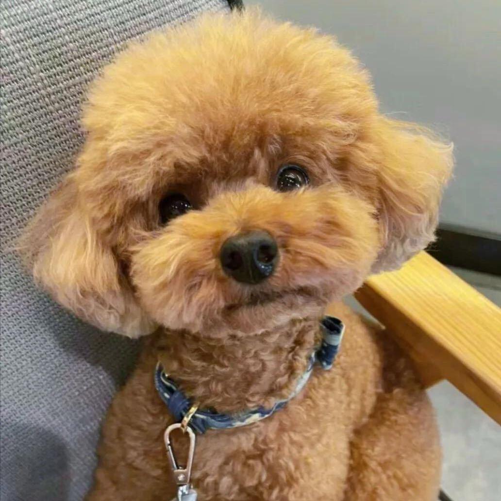 💞💞💞陈 陈 陈