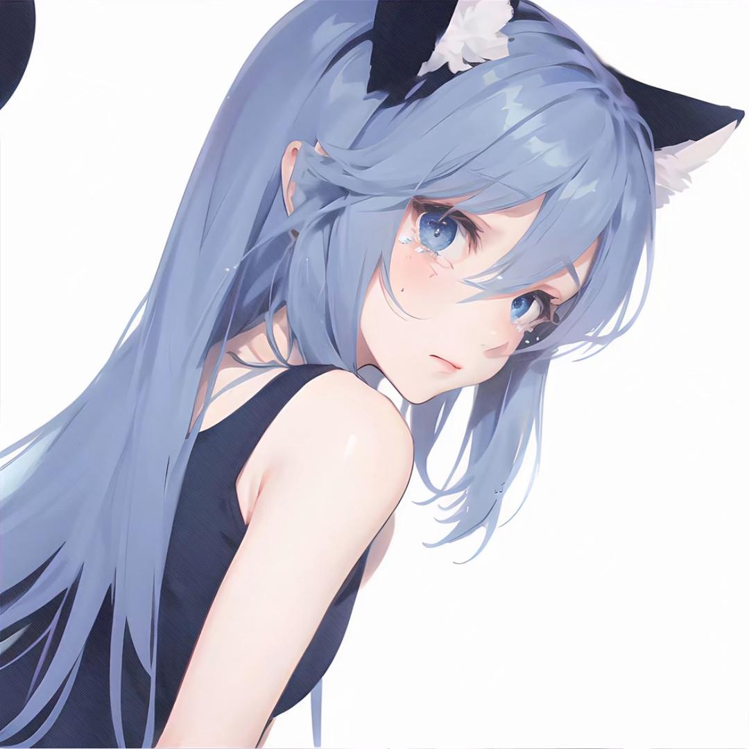 家飞猫🐱