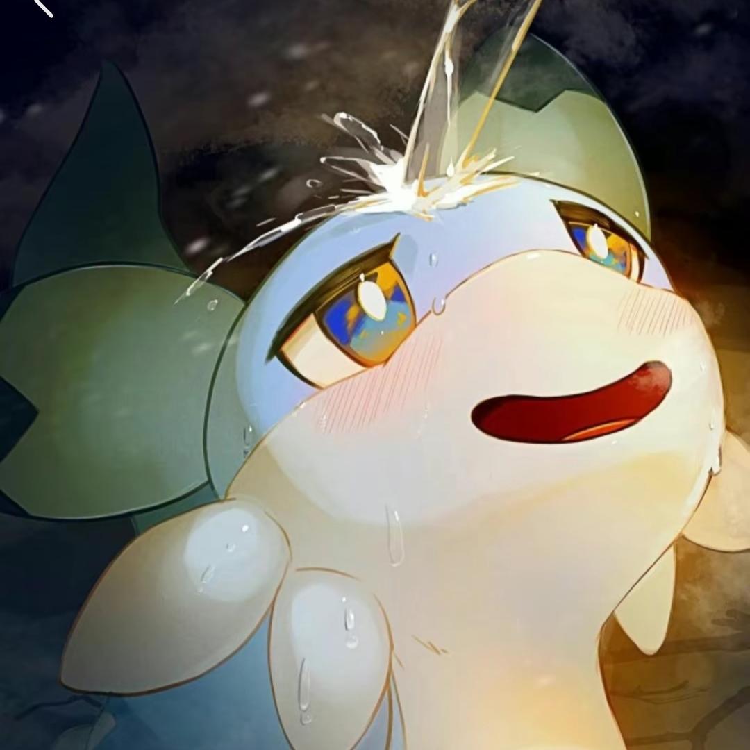 雨尧