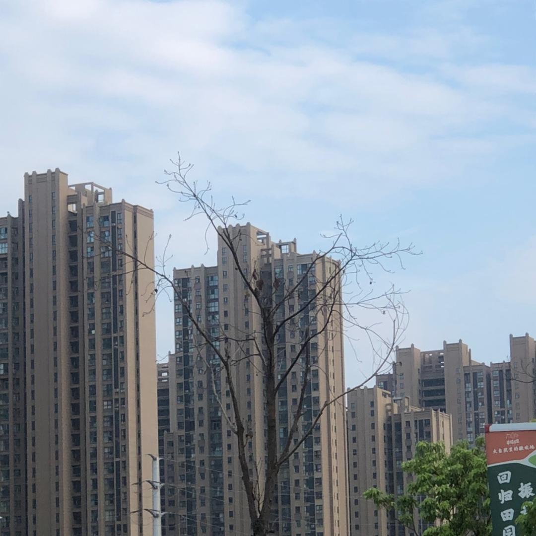 我就是我。