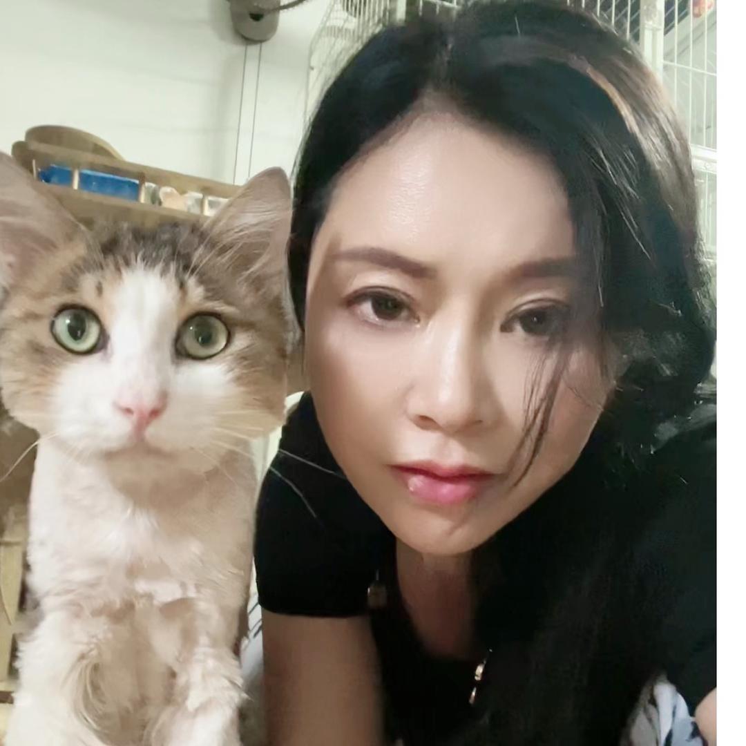 喵的守护者