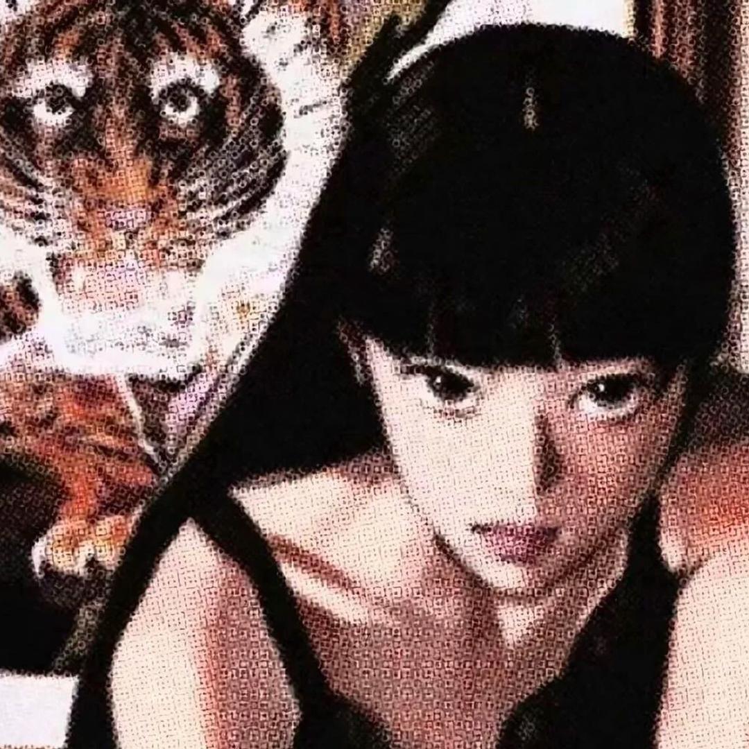 你得不到的女人