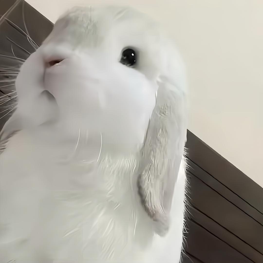 rruuuu