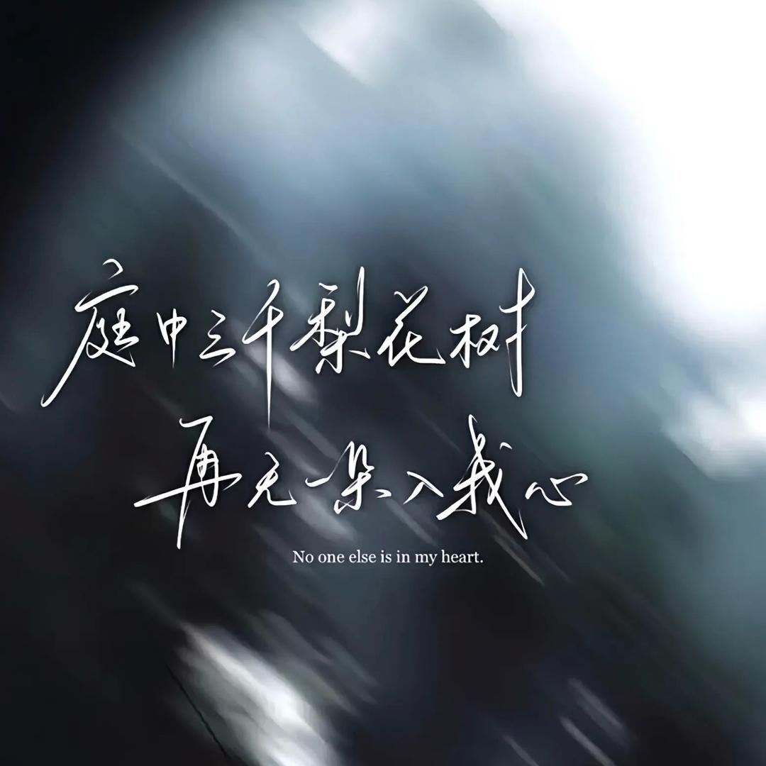 言不由衷-