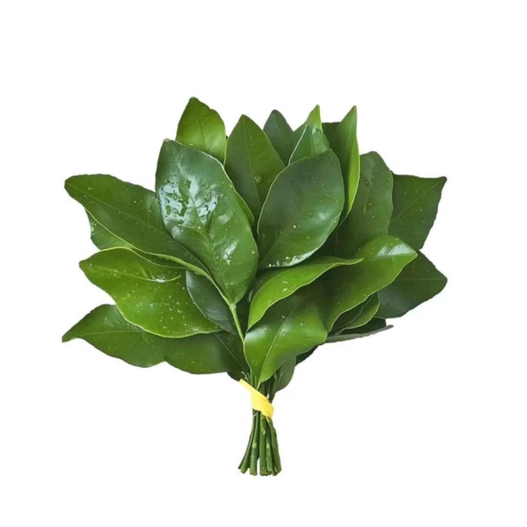 蜜桃.